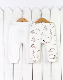 Комплект из 2-х брюк "Птички" | Артикул: НП1/6-И | Детская одежда оптом от «Бэби-Бум»