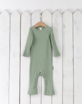 Комбинезон (серебристый зелёный) | Артикул: К291/10-И | Детская одежда оптом от «Бэби-Бум»